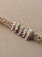 Pink Sea Shell