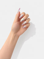 Pink Sea Shell