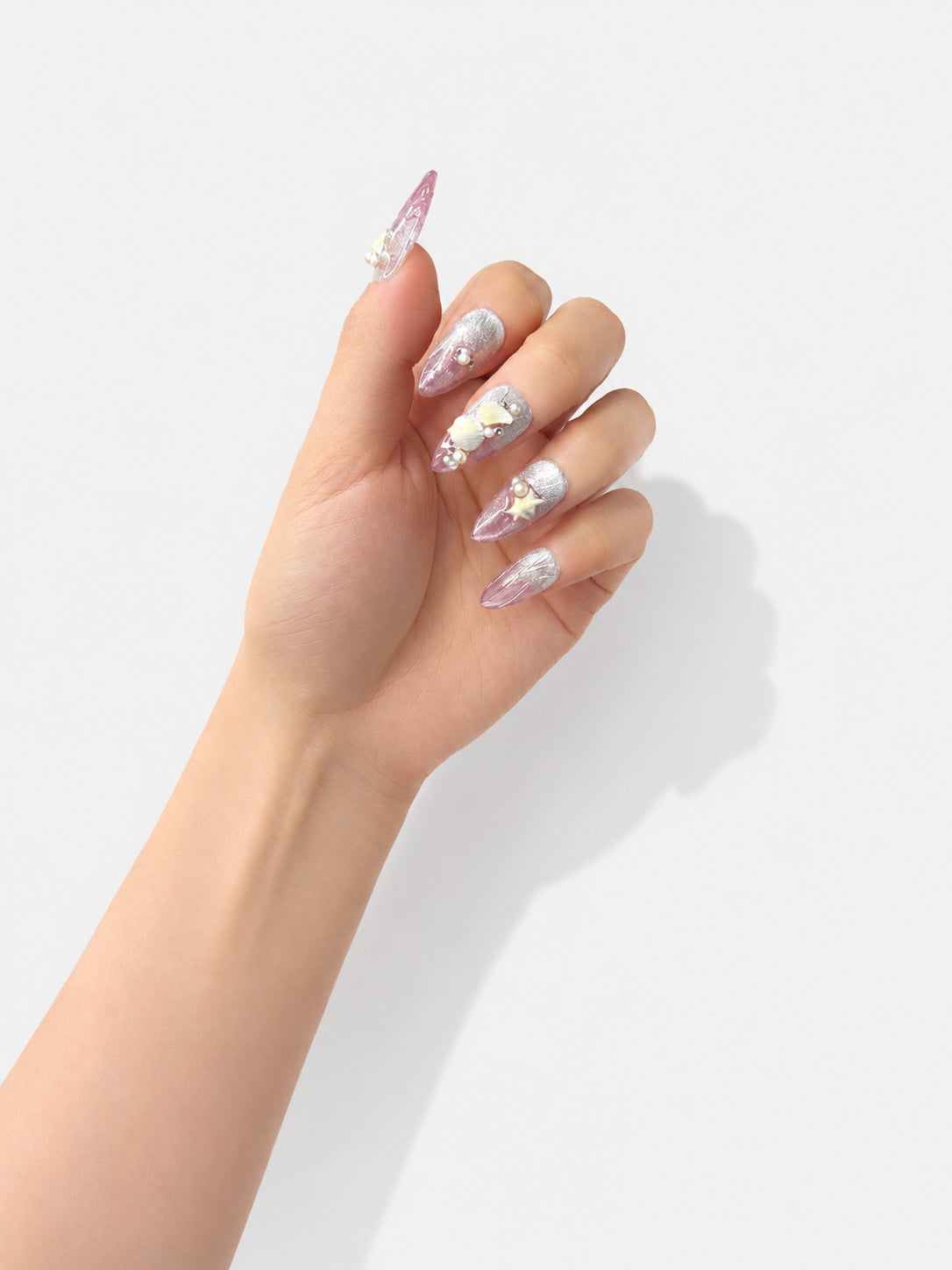 Pink Sea Shell