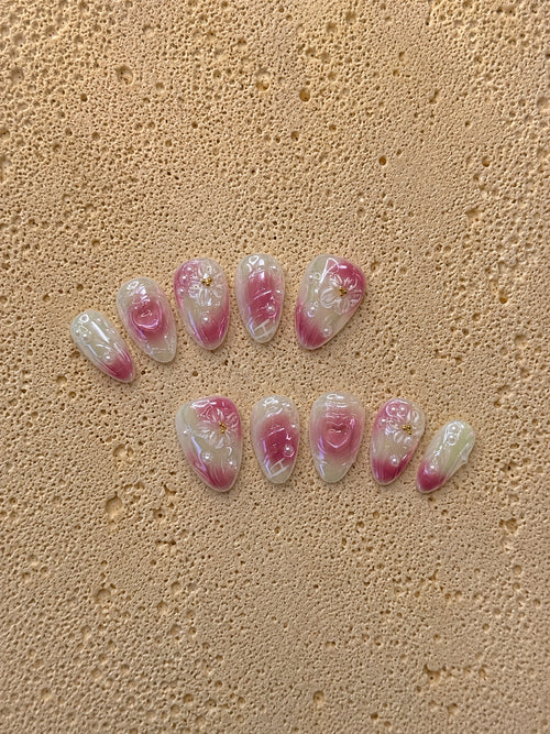 Blush Rose Shell