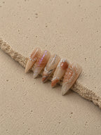 Nude Iridescent Shell